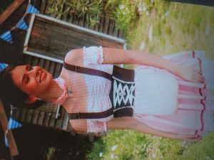 Adult Female Costumes to Hire - German Beerfest dress - PINK